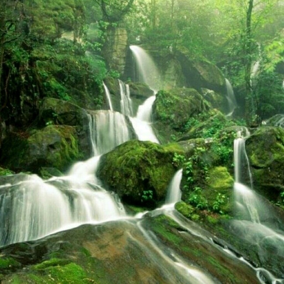 Meet your Posher, Redd - Picture 1 of 1